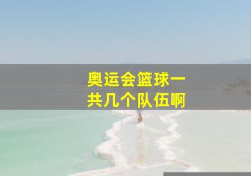 奥运会篮球一共几个队伍啊