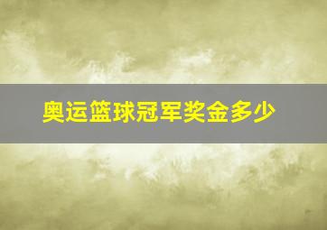 奥运篮球冠军奖金多少