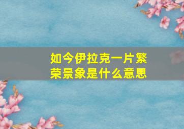 如今伊拉克一片繁荣景象是什么意思