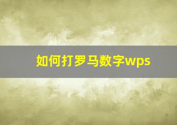 如何打罗马数字wps