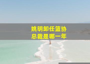 姚明卸任篮协总裁是哪一年