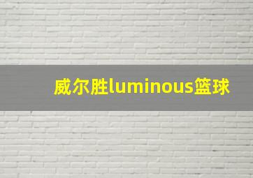 威尔胜luminous篮球