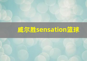 威尔胜sensation篮球