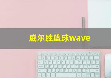 威尔胜篮球wave