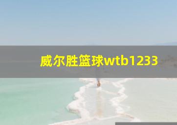 威尔胜篮球wtb1233