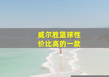 威尔胜篮球性价比高的一款