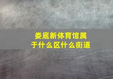 娄底新体育馆属于什么区什么街道