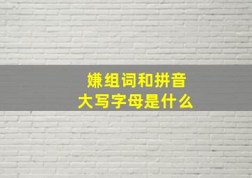 嫌组词和拼音大写字母是什么