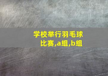 学校举行羽毛球比赛,a组,b组