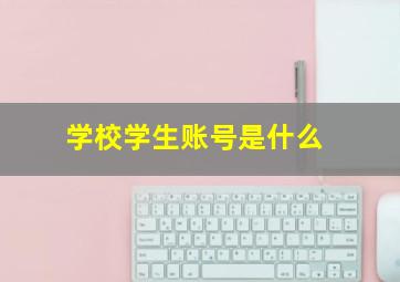 学校学生账号是什么