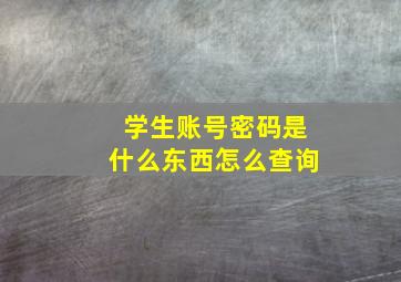 学生账号密码是什么东西怎么查询