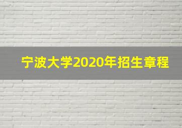 宁波大学2020年招生章程