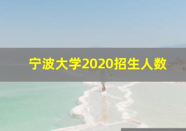 宁波大学2020招生人数