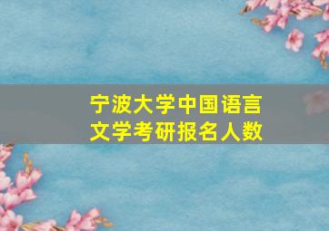 宁波大学中国语言文学考研报名人数