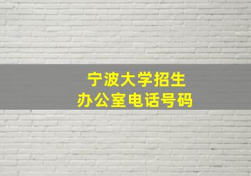 宁波大学招生办公室电话号码