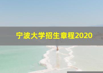 宁波大学招生章程2020