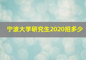 宁波大学研究生2020招多少