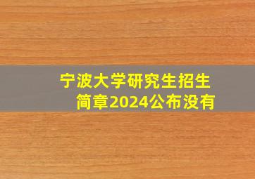 宁波大学研究生招生简章2024公布没有