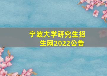 宁波大学研究生招生网2022公告