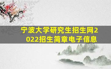 宁波大学研究生招生网2022招生简章电子信息