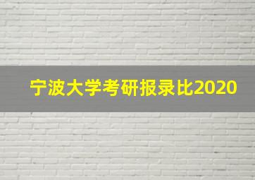 宁波大学考研报录比2020