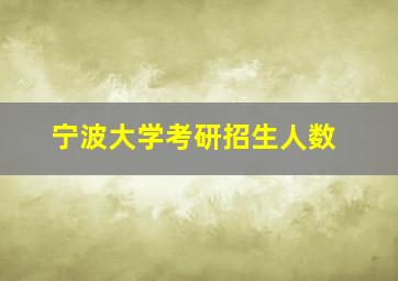 宁波大学考研招生人数