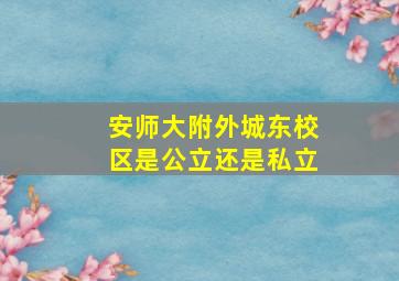 安师大附外城东校区是公立还是私立