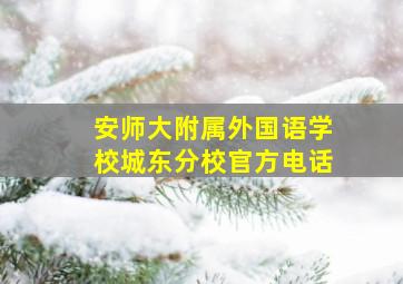 安师大附属外国语学校城东分校官方电话