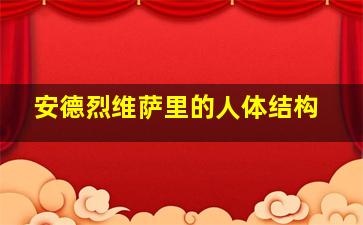 安德烈维萨里的人体结构