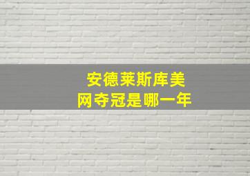 安德莱斯库美网夺冠是哪一年