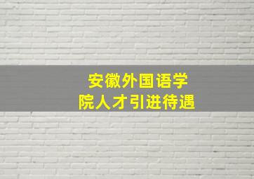 安徽外国语学院人才引进待遇