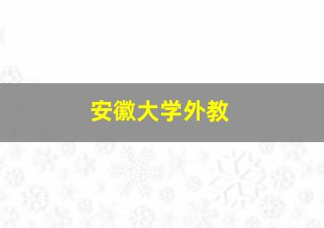 安徽大学外教