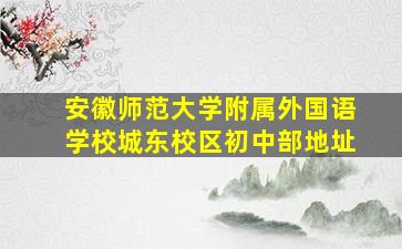 安徽师范大学附属外国语学校城东校区初中部地址