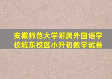 安徽师范大学附属外国语学校城东校区小升初数学试卷