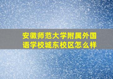 安徽师范大学附属外国语学校城东校区怎么样