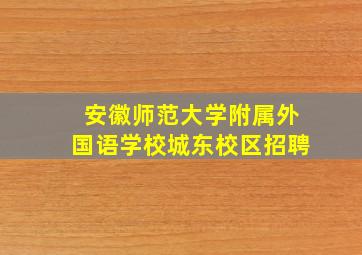 安徽师范大学附属外国语学校城东校区招聘