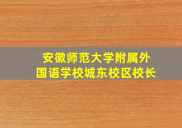 安徽师范大学附属外国语学校城东校区校长