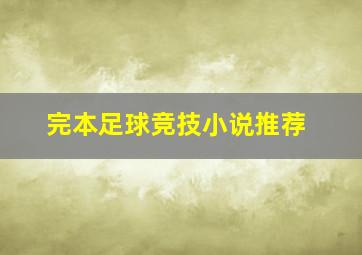 完本足球竞技小说推荐