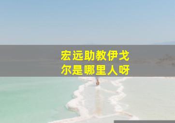 宏远助教伊戈尔是哪里人呀