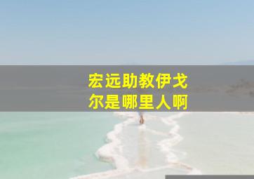 宏远助教伊戈尔是哪里人啊