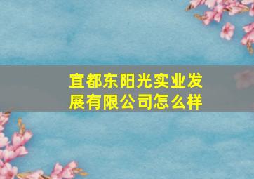 宜都东阳光实业发展有限公司怎么样