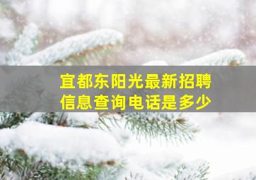 宜都东阳光最新招聘信息查询电话是多少