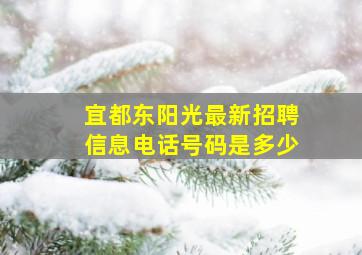 宜都东阳光最新招聘信息电话号码是多少