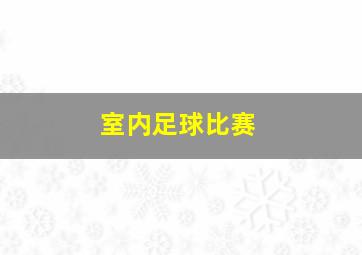 室内足球比赛