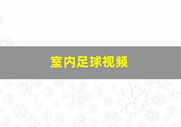 室内足球视频