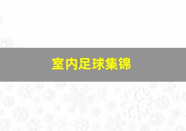 室内足球集锦