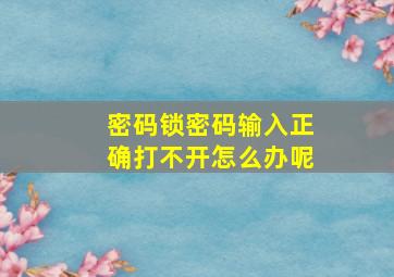 密码锁密码输入正确打不开怎么办呢