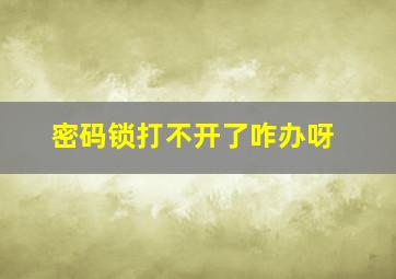 密码锁打不开了咋办呀