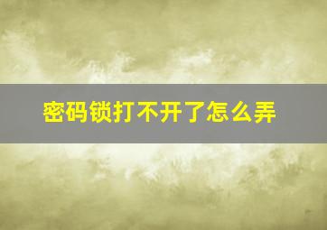 密码锁打不开了怎么弄