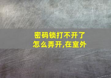 密码锁打不开了怎么弄开,在室外